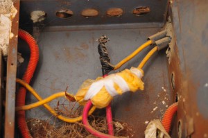 Plans are launched to curb electricity consumption by shops and restaurants through closing early Hassan Ibrahim / DNE