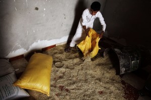 Sinai home raid AFP