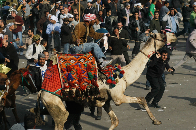 All suspects charged in connection with the 'battle of the camel' have been acquitted (AFP File photo)