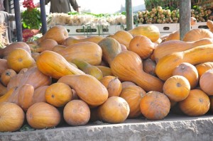Pumpkins By Hassan Ibrahim