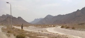 A new company hopes to cultivate up to 200,000 feddans of land in North Sinai. (DNE/ Nasser El-Azazy)