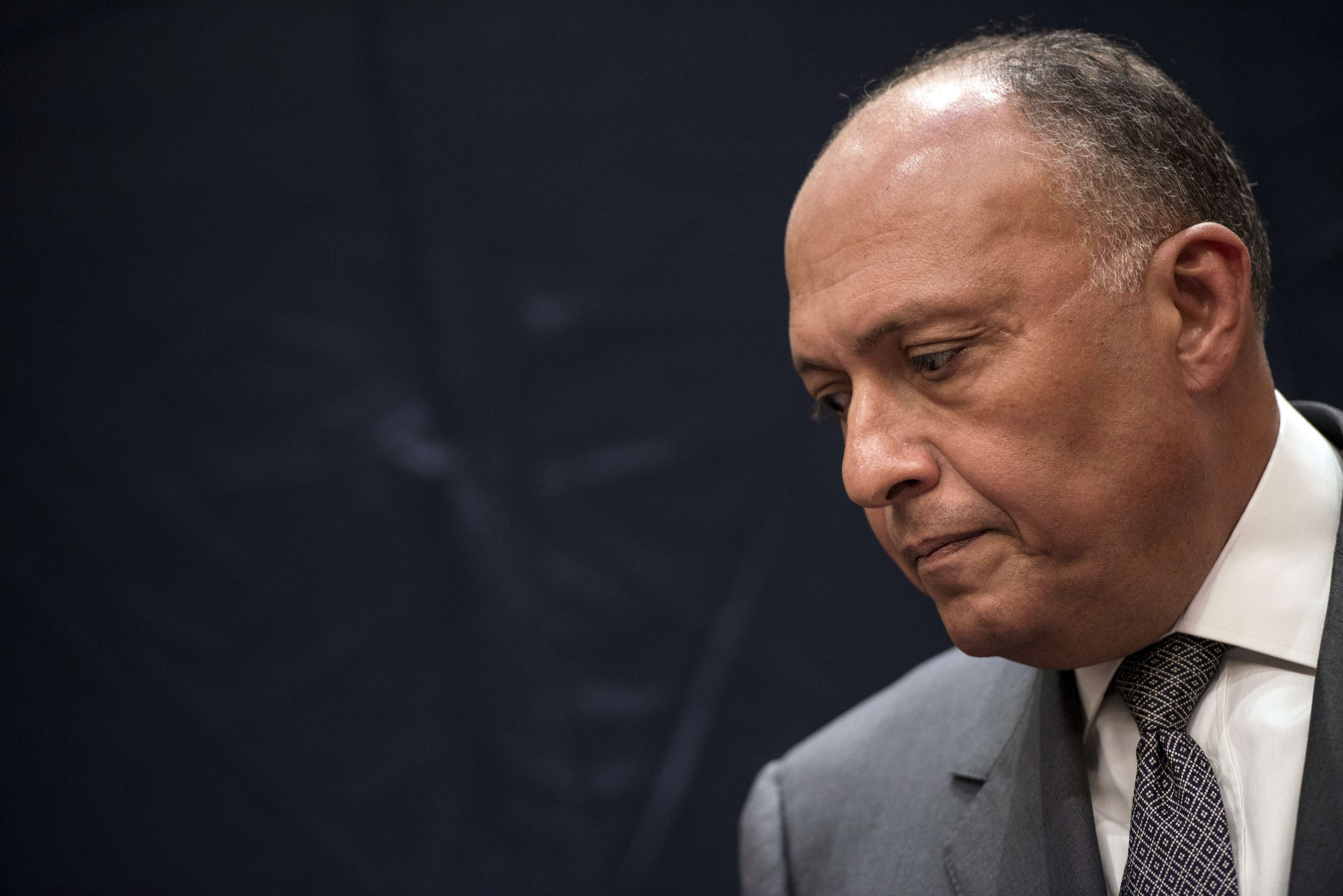 Egypt's Foreign Minister Sameh Shoukry (AFP Photo)