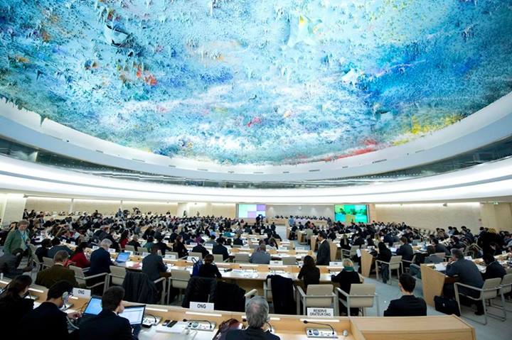 An Egyptian NGO raises human right concerns before the United Nations Human Rights Council, seen here in January. (Photo courtesy of the United Nations Human Rights Council)
