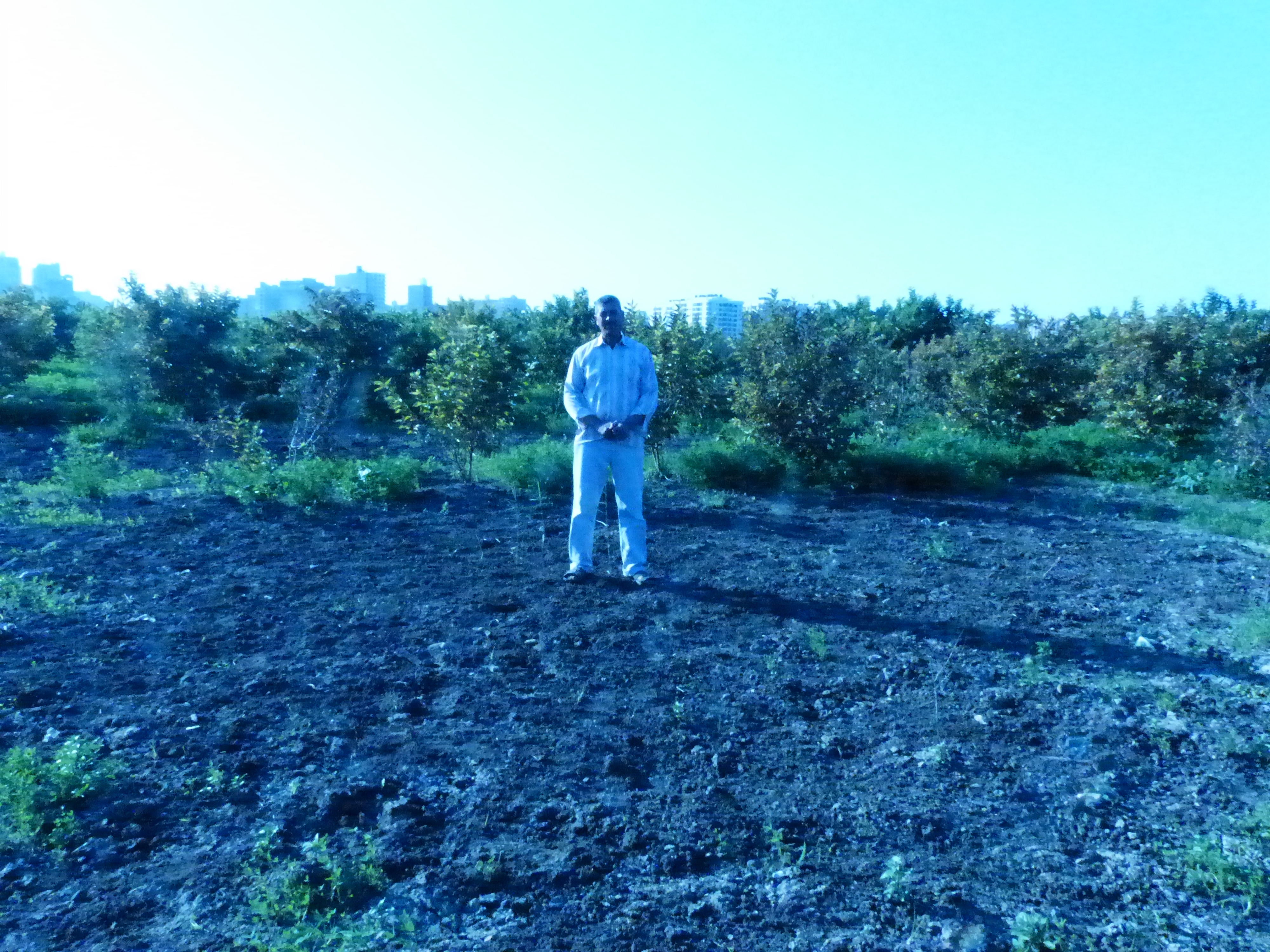 Hasan Adel Wahed said his farmland has been contaminated by sewage and other pollutants from nearby housing and real estate development projects (Photo by Kenneth Changpertitum)