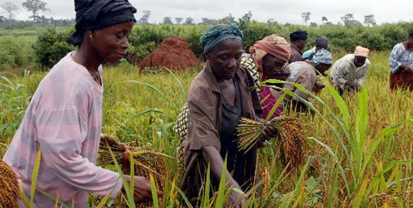 MisrLife Insurance Company posted a 21% premium growth rate for individual, group and health insurances by the end of last year, compared to June 2013, chairman (Photo Courtesy of MisrLife Insurance Company)