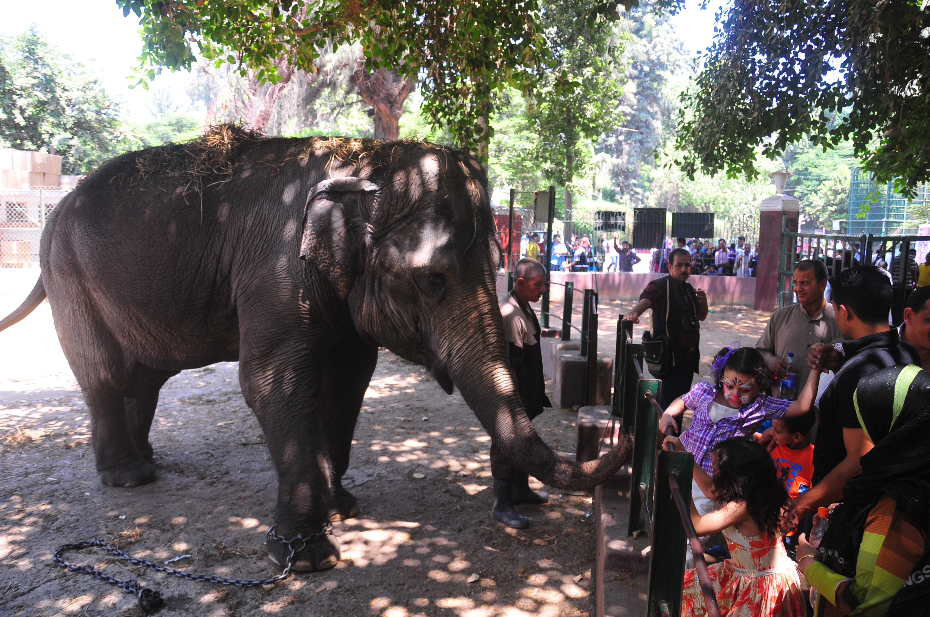 The zoo is the place to go if you wish to envelop yourself with the crowds of Sham El Neseem Hassan Ibrahim