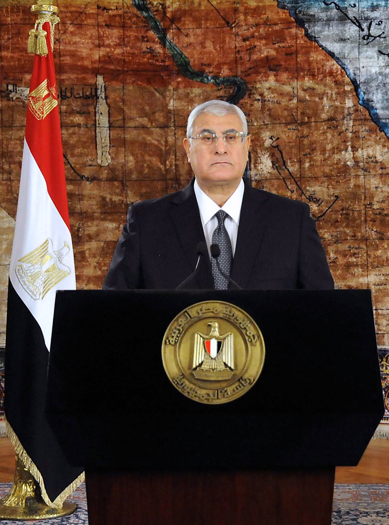 Interim President Adly Mansour announced a number of presidential decrees Wednesday evening (File Photo)