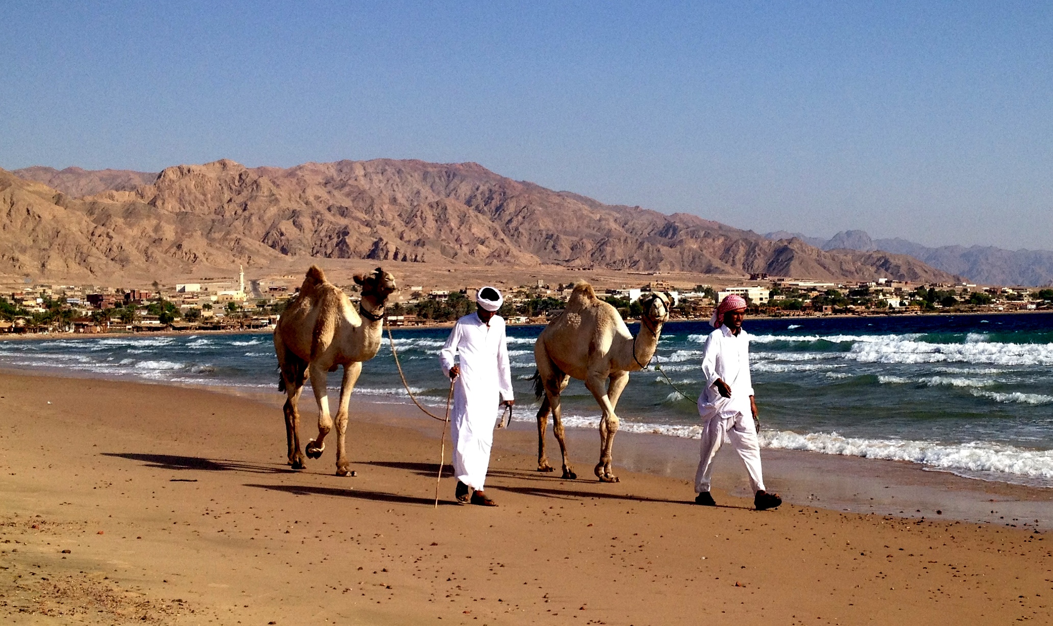 Photo Courtesy of The Bedouin Way
