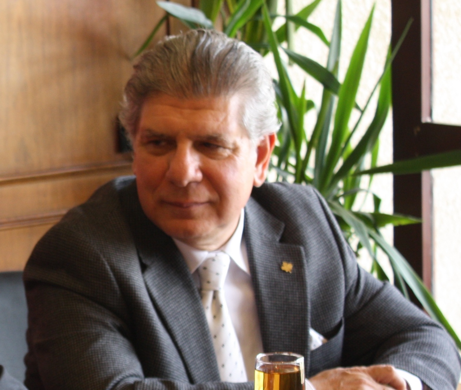 Fayez Ezzeldin, Chairman of the Canadian chamber of Commerce in Egypt and the Middle East (Photo Handout to DNE)