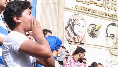 Press Syndicate