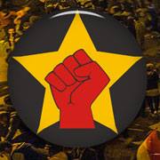 revolutionary socialist