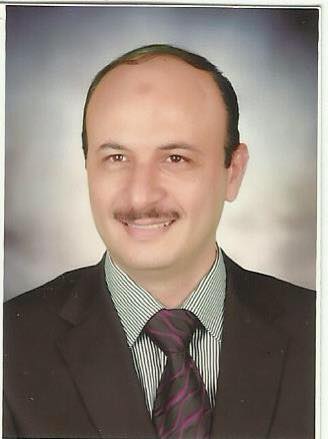 Ezz El-Din Hassanin, a banking and economy expert