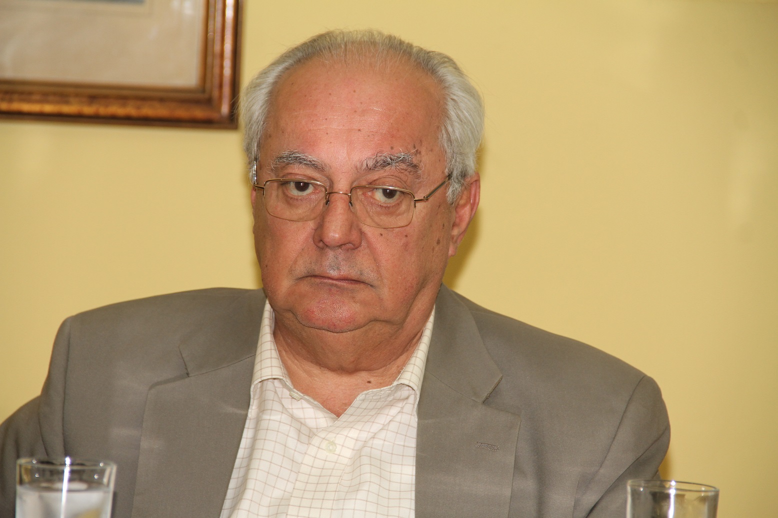 Fouad Younis, the head of the Egyptian-French Business Photo Handout to DNE)