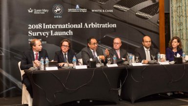 Head of the AmCham Egypt’s Legal Committee, Hany Sari Eldin
