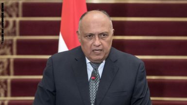 Egypt's Foreign Minister Sameh Shoukry announced, on Monday, that Egypt and Saudi Arabia have reached consensus regarding external interference in the Middle East region