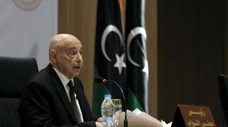 President of the Libyan House of Representatives Aguila Saleh