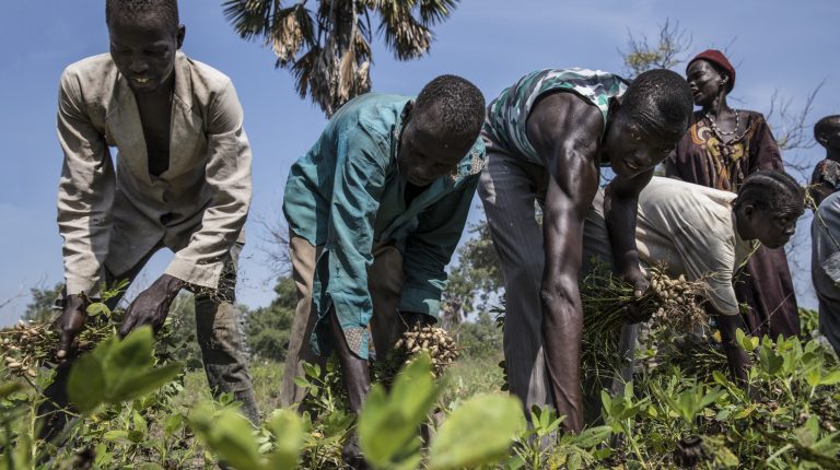 South Sudan signed an agreement with the World Food Programme (WFP) to help speed up agricultural production