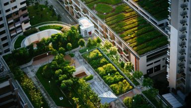Many cities have created new bike lanes and pedestrian zones, reclaiming public spaces and improving mobility, safety and air quality. By focusing on high ecological transformation and job creation, stimulus packages can steer growth toward a low-carbon, resilient pathway and advance the Sustainable Development Goals