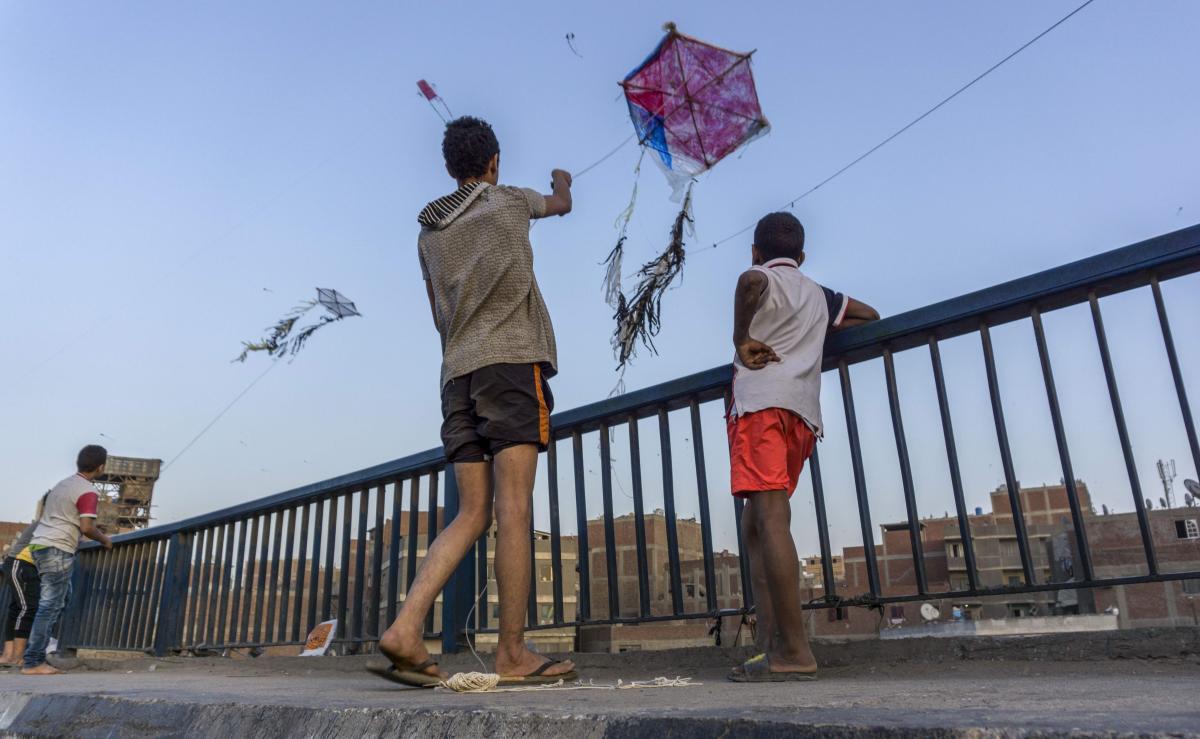 Kite flying now banned in Cairo, Alexandria Daily News Egypt