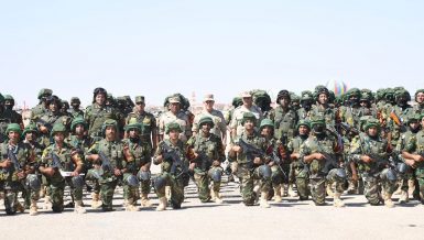 Egypt's Chief of Staff for the Armed Forces Mohamed Farid inspected, on Monday, the combat readiness of Egyptian troops stationed in the Western Strategic Front, according to an army statement.