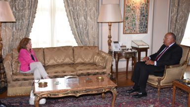 Egyptâs Minister of Foreign Affairs Sameh Shoukry received, on Sunday, the Acting Special Representative of the UN Secretary-General to Libya Stephanie Williams, for discussions on the latest developments in Libya. Daily News Egypt
