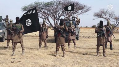 Since 2009, the Boko Haram insurgency has had a devastating impact on the region. The group has been trying to establish an Islamist state in northeastern Nigeria, extending its attacks to countries in the Lake Chad Basin.