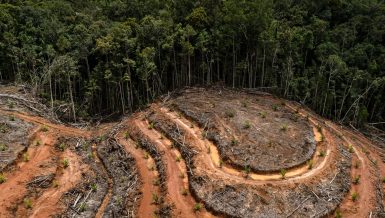 UNEP regional director for Africa said that the ravaging climate change and loss of biodiversity calls for urgent action in the continent