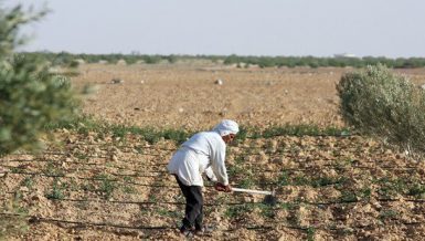 Egypt's President Abdel Fattah Al-Sisi directed the government to accelerate the completion of the infrastructure of 1.5 million-feddan reclamation project.