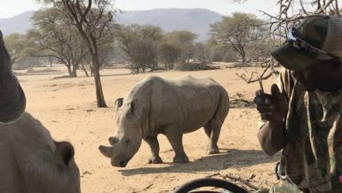 Namibia recorded 57 poaching cases in 2019, which comprised 46 rhinos and 13 elephants. (Xinhua-Sun Yin)