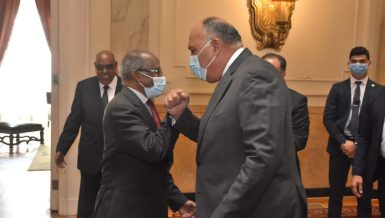 Egypt’s Foreign Minister Sameh Shoukry met, on Wednesday, his Eritrean counterpart Osman Saleh and Political Advisor to the Eritrean President Yemane Gebreab in Cairo. They discussed the latest developments in the Horn of Africa and the ongoing conflict in Ethiopia’s Tigray region.