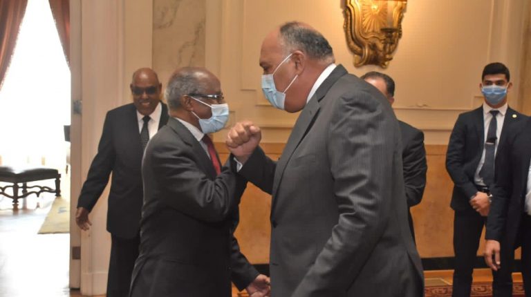 Egypt’s Foreign Minister Sameh Shoukry met, on Wednesday, his Eritrean counterpart Osman Saleh and Political Advisor to the Eritrean President Yemane Gebreab in Cairo. They discussed the latest developments in the Horn of Africa and the ongoing conflict in Ethiopia’s Tigray region.