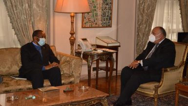 Egypt’s Foreign Minister Sameh Shoukry met, on Wednesday, Professor Alphonse Ntumba Luaba, the coordinator of DR Congo working committee preparing for the country’s future term as chair of African Union (AU), starting in February 2021.