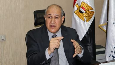 Amr Ismail, Chairperson of the General Authority for Land and Dry Ports