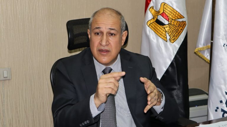 Amr Ismail, Chairperson of the General Authority for Land and Dry Ports