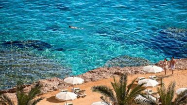 The Tourist Office of the Egyptian Tourism Promotion Board in Hurghada received, on Sunday, the first tourist group from the German capital, Berlin, since the resumption of travel in early July.