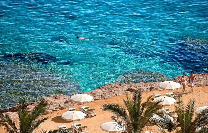 The Tourist Office of the Egyptian Tourism Promotion Board in Hurghada received, on Sunday, the first tourist group from the German capital, Berlin, since the resumption of travel in early July.