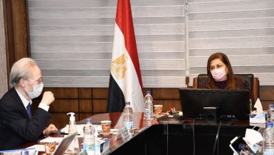 Egypt, Japan discuss increasing bilateral cooperation