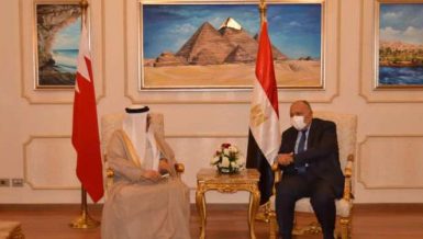 Egypt's Minister of Foreign Affairs Sameh Shoukry during a meeting with his Bahraini counterpart Abdul Latif Al-Zayani in Cairo. Daily News Egypt