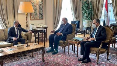 Foreign Minister, Syrian Tomorrow Movement head discuss Syrian crisis