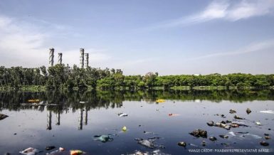 Molluscs have highest level of microplastics among seafood: Study
