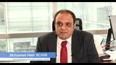 Mohamed Hedi Bchir from ESCWA