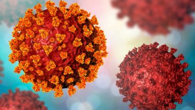 new variant of the coronavirus (COVID-19 variant) Officially named variant VUI-202012/01