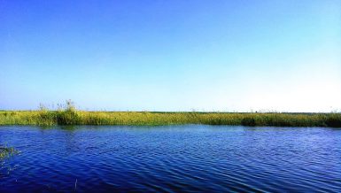 Lake Mariout