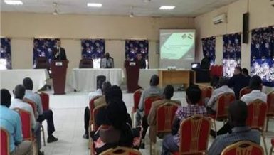 Egypt organises training workshop on South Sudan investment
