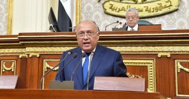 Egypt will not compromise on its water rights: Foreign Minister