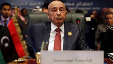 Libya Parliament denies sending envoy to Turkey âto take ordersâ