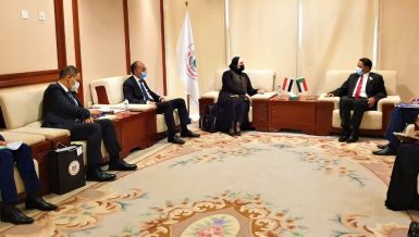Egypt, Sudan agree to utilise mineral resources for industrial purposes