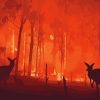 Experts have warned that devastating 2019/20 Australian bushfires were a "wake up call" to the extreme effects of climate change in the country.