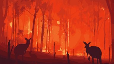 Experts have warned that devastating 2019/20 Australian bushfires were a "wake up call" to the extreme effects of climate change in the country.