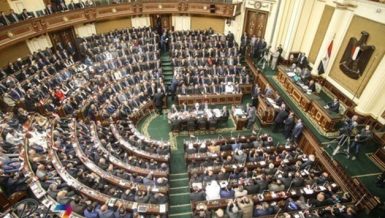 Egypt’s House of Representatives will receive Minister of Transport Kamel El-Wazir and Minister of Petroleum and Mineral Resources Tarek El Molla, on Sunday, to outline their ministries’ efforts in implementing government programmes.